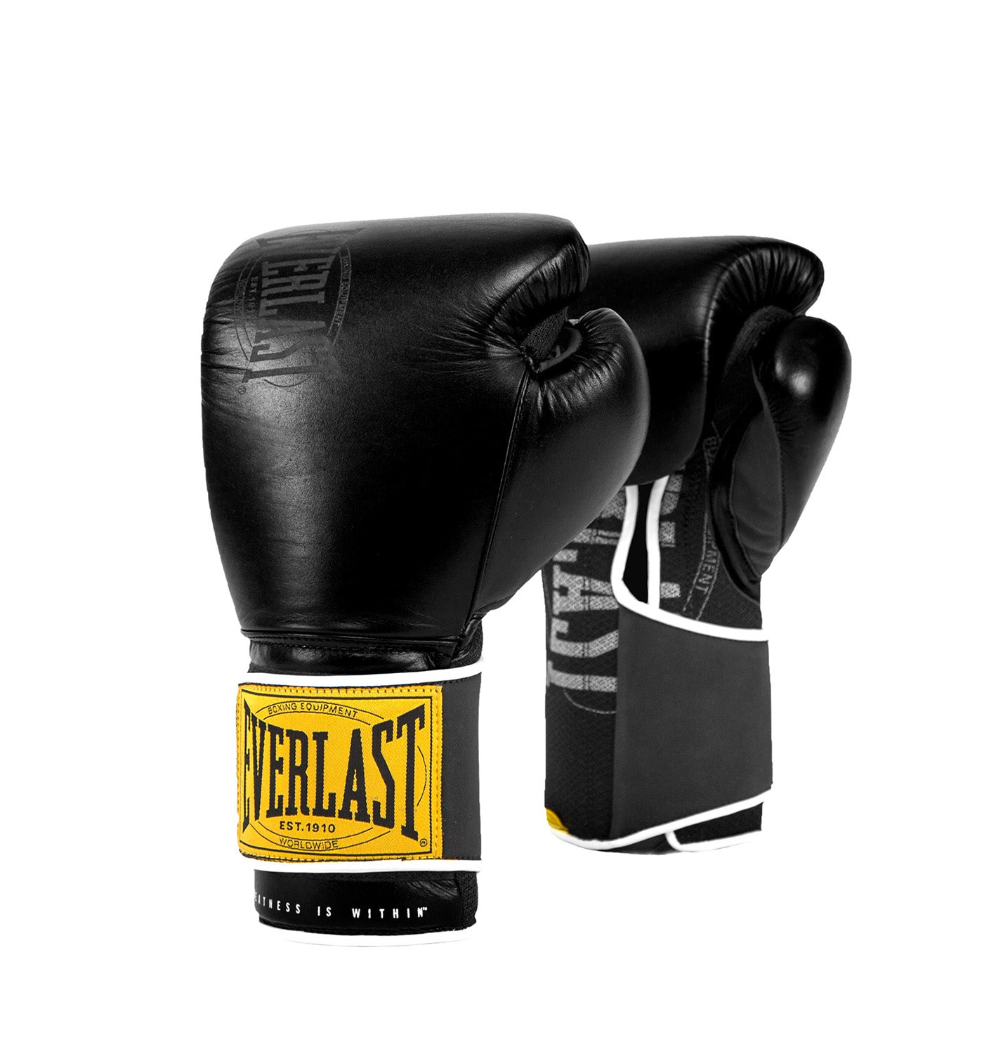 1910 Classic Training Gloves 16oz Everlast Australia